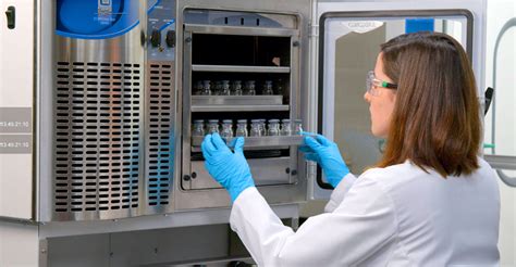 Micrografía electrónica de espermatozoides humanos antes y después del proceso de liofilización y rehidratación