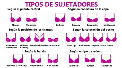 Infografía mostrando los diferentes tipos de sujetadores de lactancia Chantelle