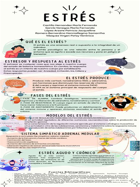 Infografía: El estrés y sus efectos hormonales en el cuerpo humano