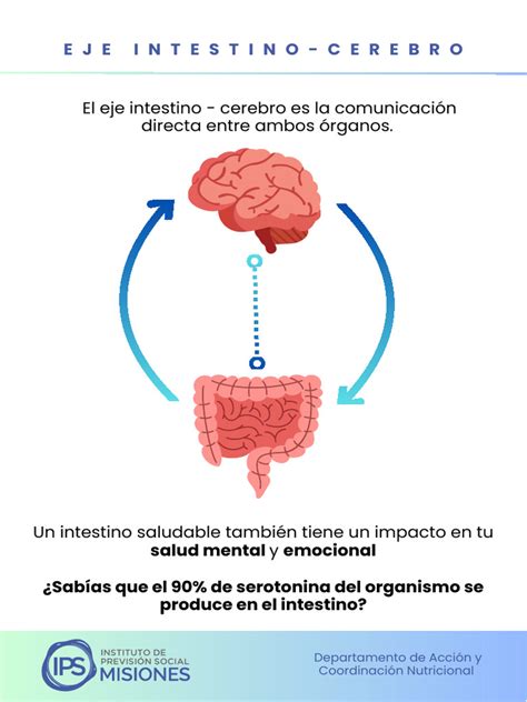 representación gráfica del eje intestino-cerebro