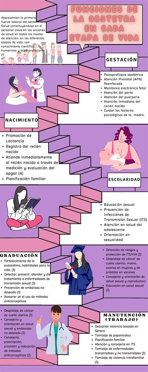 Infografía: El rol del obstetra en las diferentes etapas del embarazo