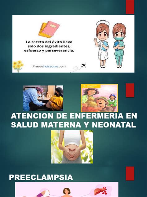 Esquema de las interconexiones en la salud materna y neonatal