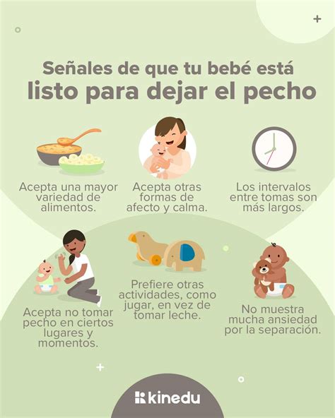 infografía sobre las señales de que un bebé está listo para el destete