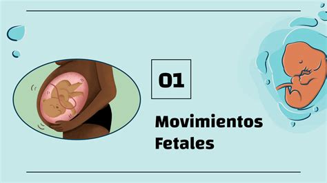 Gráfico mostrando la actividad cerebral fetal en respuesta a estímulos sonoros