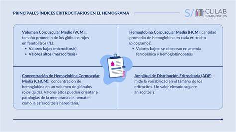Infografía sobre los índices eritrocitarios y su significado en el diagnóstico de anemias.