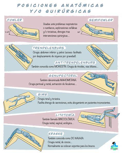 Esquema de las diferentes posiciones de altura y el sistema de anclaje de una cuna colecho 120x60