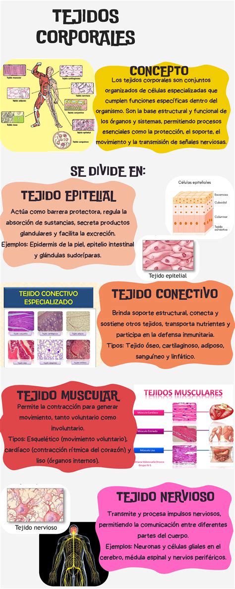 Infografía sobre tejidos transpirables para bebés