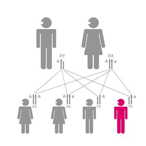 Diagrama de un árbol genealógico que ilustra el patrón de herencia recesiva ligada al cromosoma X, con el daltonismo como ejemplo.