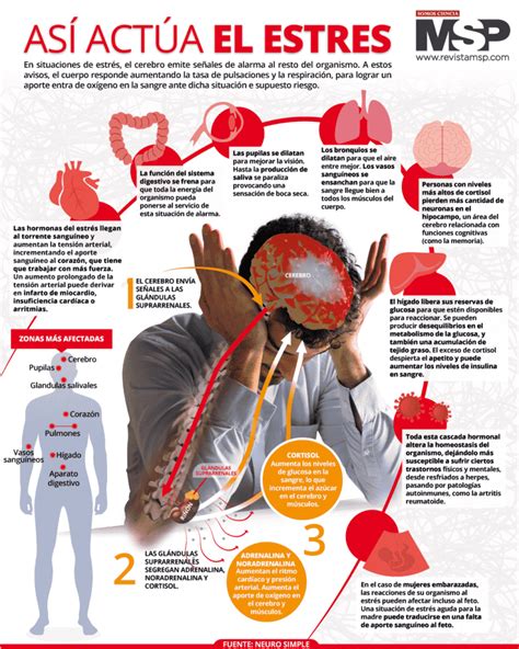 Infografía: Impacto del estrés en la salud de la piel