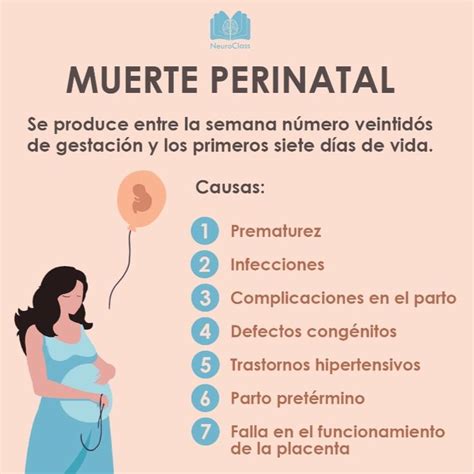 Infografía: Tipos de muerte perinatal según la etapa gestacional o post-parto.