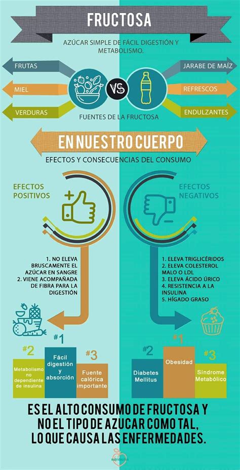 Infografía: Efectos de la fructosa en el embarazo sobre la salud de la madre y el feto.