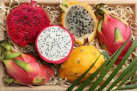 Imagen de los frutos de pitahaya en diferentes etapas de maduración