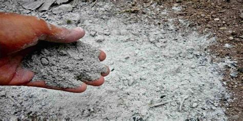 Infografía detallando la composición mineral de las cenizas de pellets y sus beneficios para el suelo.