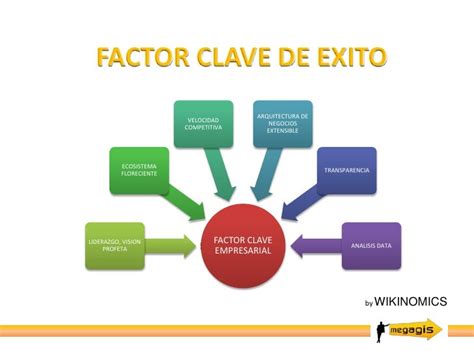 infografía de factores clave en el éxito de la FIV