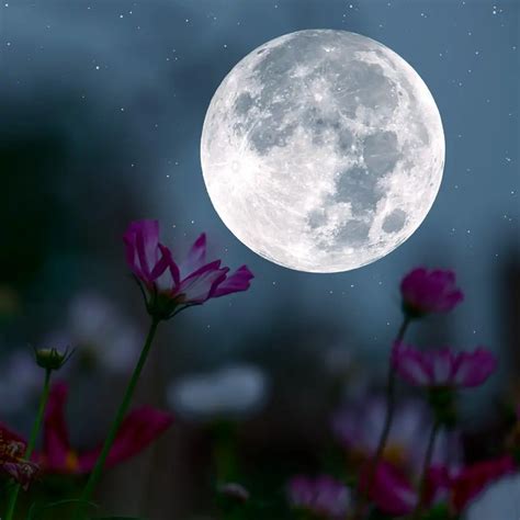 Fotograma de una escena con simbolismo de luna llena y la figura materna.