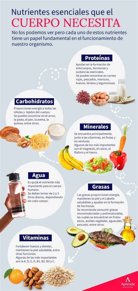 Infografía mostrando la proporción de diferentes tipos de nutrientes en el mercado de fertilizantes