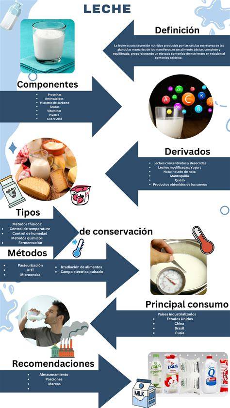 Infografía sobre los nutrientes esenciales en la leche y sus derivados