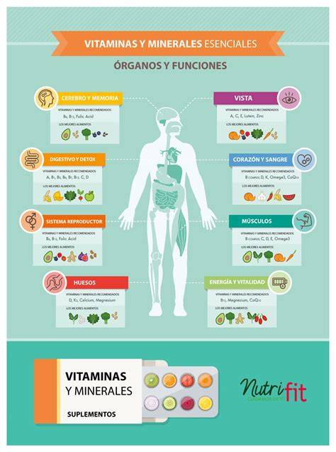 Infografía sobre vitaminas y minerales esenciales para la inmunidad