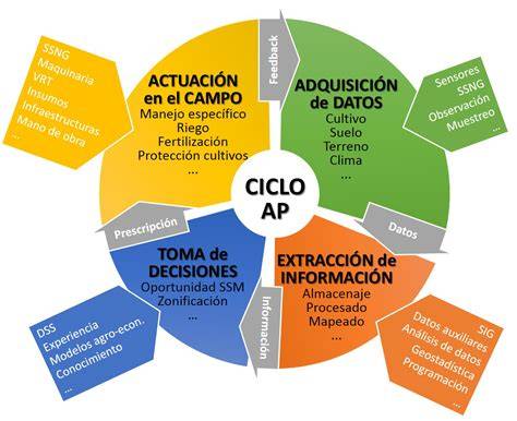 Esquema que muestra el ciclo de la agricultura de precisión: recopilación de datos (sensores/satélite), análisis mediante software y aplicación variable en campo.