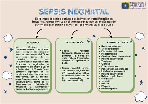 Esquema de la clasificación de la sepsis neonatal según el tiempo de aparición