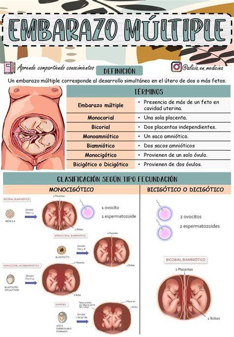 Esquema comparativo de embarazo único y múltiple