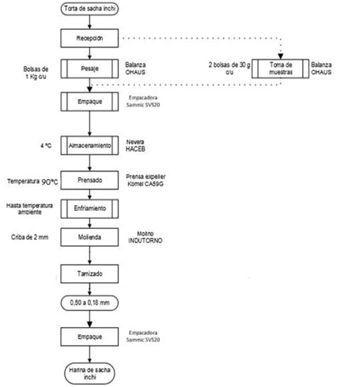 Diagrama del proceso de obtención y preparación de la membrana amniótica para trasplante ocular