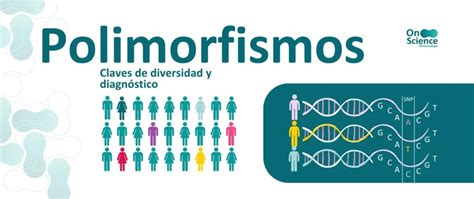 Infografía: Polimorfismos genéticos comunes asociados con trombofilia y riesgo de aborto recurrente