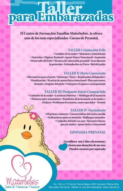 Esquema o infografía de los servicios y talleres para embarazadas ofrecidos por matronas