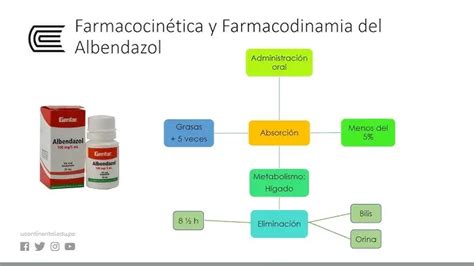 infografía sobre el mecanismo de acción del fenbendazol en parásitos intestinales