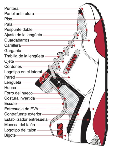 Esquema de las capas de un zapato con énfasis en el forro