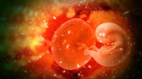 Esquema de un feto en el vientre materno con ondas cerebrales y conexiones neuronales que sugieren conciencia o percepción