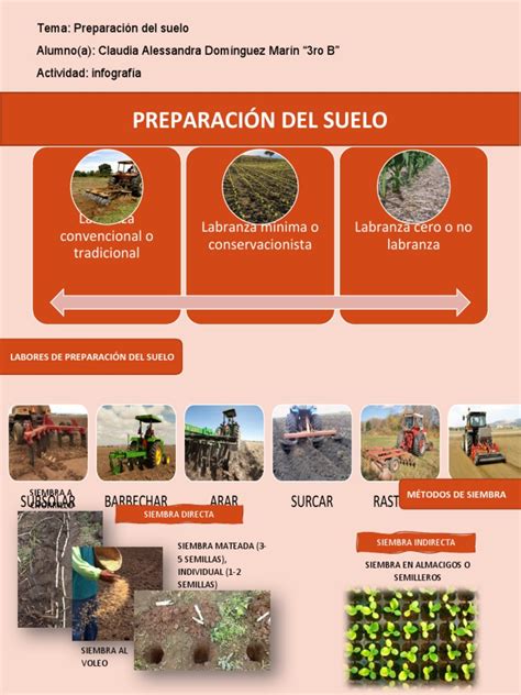 Infografía sobre la preparación del suelo para arbustos