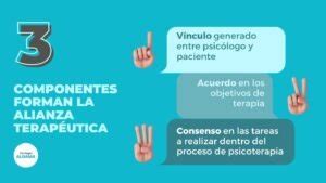 Infografía: Diagrama de la alianza terapéutica entre médico y paciente embarazada
