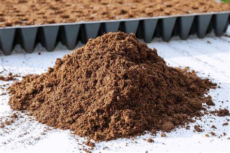 Imagen de turba rubia como sustrato para plantas carnívoras