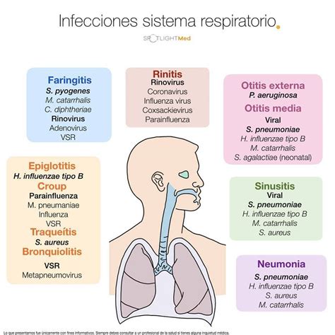 Esquema de las principales enfermedades respiratorias en la infancia