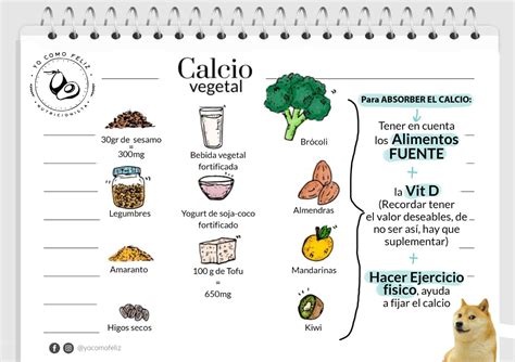 Infografía comparativa de las fuentes de calcio lácteas y sus equivalencias