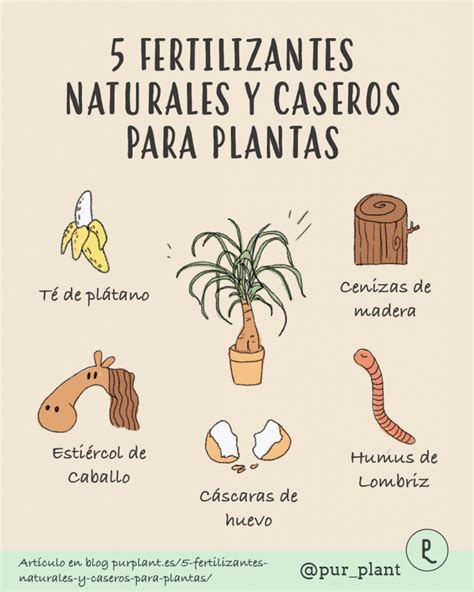 Infografía con ejemplos de fertilizantes caseros y sus principales nutrientes