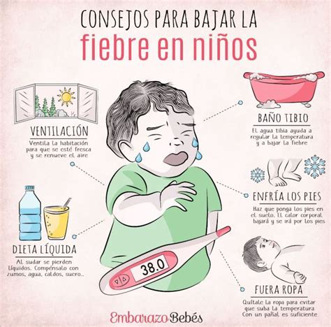Infografía explicativa sobre la fiebre en bebés: qué es, causas comunes y cuándo preocuparse.