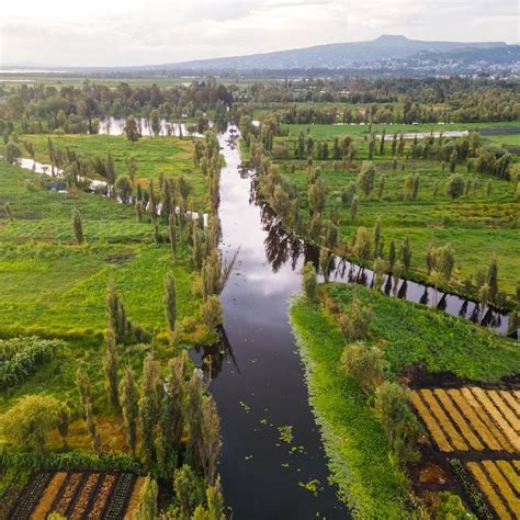 Foto aérea de las chinampas de Xochimilco, mostrando su patrón de tierra y agua