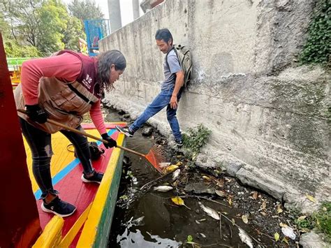 Foto de contaminación visible en los canales de Xochimilco