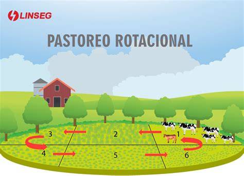 Esquema de rotación de potreros con pastoreo alterno para control parasitario