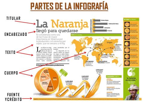 Infografía: Partes de un biberón y tetinas