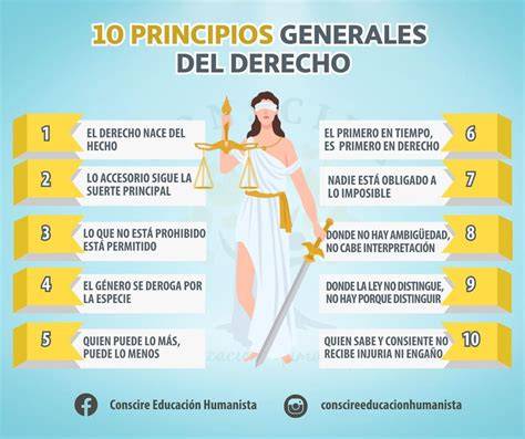 Esquema sobre los principios jurídicos del derecho occidental aplicados a la gestación subrogada