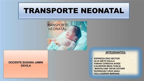 Esquema mostrando el dilema de seguridad en el transporte neonatal sin cinturón específico