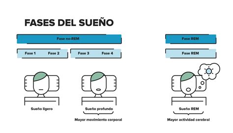 Diagrama de las fases del sueño (REM y NREM)