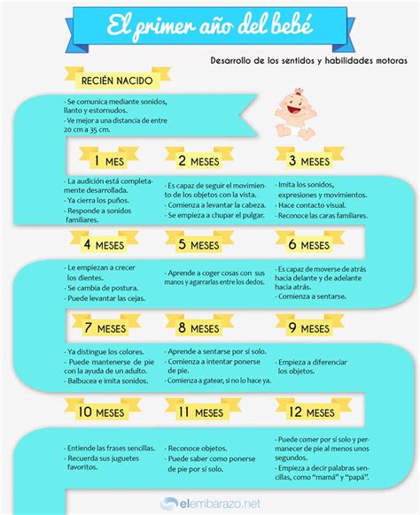 Infografía sobre los sentidos del bebé y su desarrollo
