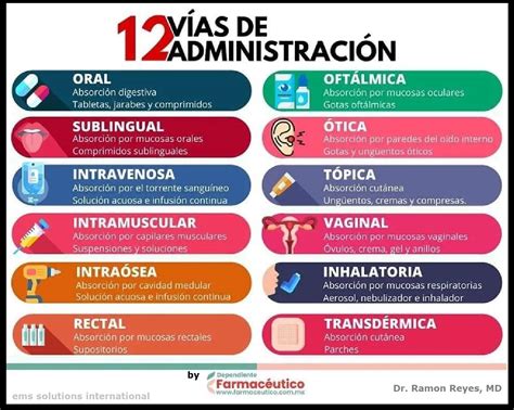 Esquema de las vías de administración de medicamentos pediátricos (gotas, supositorios, jarabe)