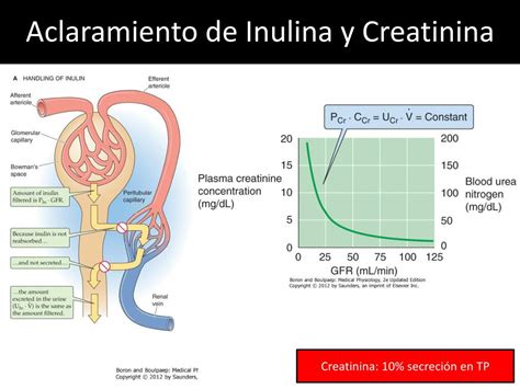 Gráfico comparativo del aclaramiento de creatinina y la FGR real en diferentes estadios de función renal