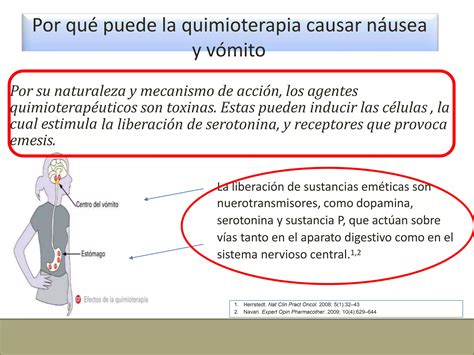 Infografía: Mecanismos de daño ovárico inducido por quimioterapia.