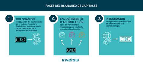 Esquema de las fases del blanqueo de capitales